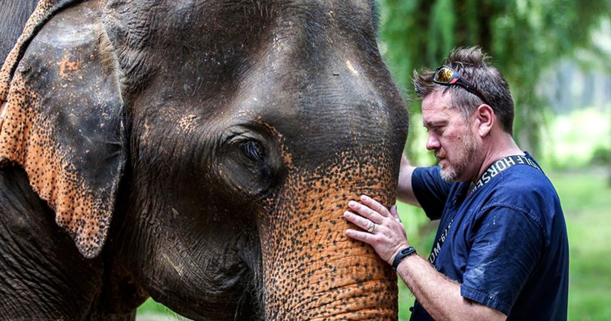 Ko Lanta Yai: Half-Day Ethical Elephant Sanctuary Tour